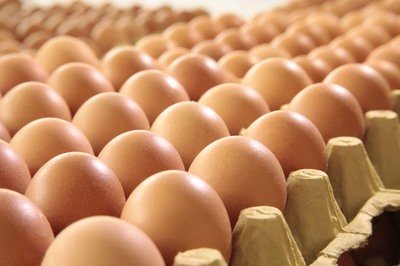 运城鸡蛋检测价格,鸡蛋检测机构,鸡蛋检测项目,鸡蛋常规检测